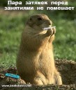 Вадим Кардинал фотография #48 (источник - https://vk.com/id46740651)