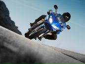 Фотография Степанова Алексея