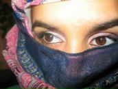 Фотография Аль-Хаулани Диляры