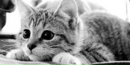 Фотография Павловой Татьяны