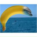 Фотография Замкового Ильи