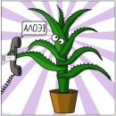 Дмитрий Макеев фотография #38 (источник - https://vk.com/id22189)