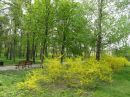 Світлана Чухій фотография #25 (источник - https://vk.com/id52486661)