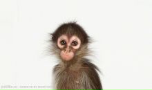 Фотография Игнатовой Розы