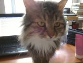 Фотография Конякина Александра