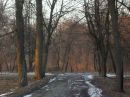 Вікторія Марчук-Корицька фотография #31 (источник - https://vk.com/id112239710)