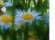  фото №17