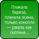 Катя Хомучеєва фотография #11 (источник - https://vk.com/id119736458)