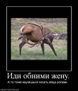 Ігор Октан фотография #35 (источник - https://vk.com/id41163362)
