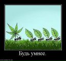 Іруня Бобошко фотография #32 (источник - https://vk.com/id77218760)