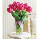 Фотография Рябинко Дарьи