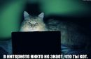 Таня Ізикевич фотография #6 (источник - https://vk.com/id40119728)