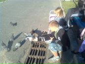 Фотография Фролова Димы