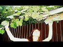 Фотография Маниной Анастасии