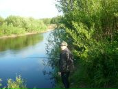 Фотография Иванова Сергея