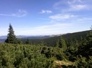 Оля Замулінська фотография #38 (источник - https://vk.com/id165146192)