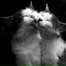 Діанка Деркач фотография #10 (источник - https://vk.com/id137210233)