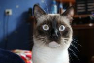 Фотография Баранова Игоря