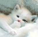 Віка Прокопчук фотография #1