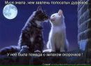 Ірина Демешкіна фотография #22 (источник - https://vk.com/id60720086)
