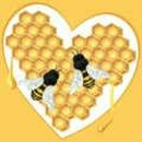 Наталья Никоненко фотография #49 (источник - https://vk.com/id30037829)