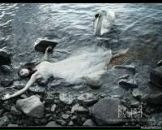 Віка Білан фотография #34 (источник - https://vk.com/id83273864)