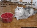 Андрій Ковальчук фотография #25 (источник - https://vk.com/id170348197)