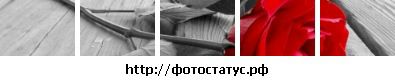 Юлія Шпаковська фотография #1