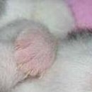 Вадім Муха фотография #46 (источник - https://vk.com/id136876591)