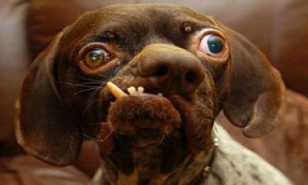 Тёма Игнат фотография #12