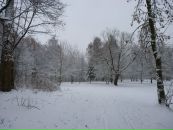 Анастасія Герасименко фотография #43 (источник - https://vk.com/id134214357)