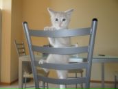 Фотография Павловской Оксаны