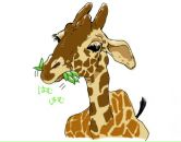 Фотография Ивлеевой Оксаны