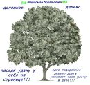 Фотография Воробьевой Светланы