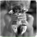 Оксана Клапків фотография #40 (источник - https://vk.com/id41837556)