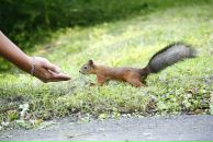 Фотография Орлова Олега