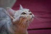 Фотография Даниловой Светланы