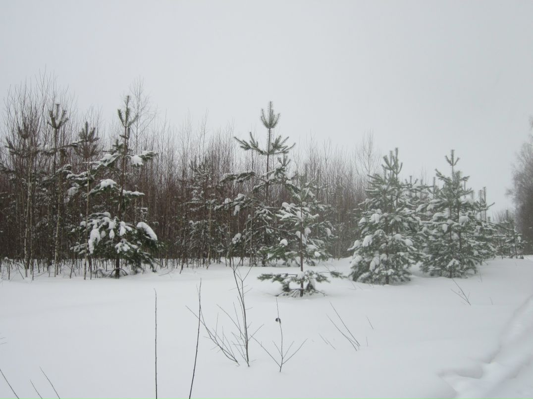 Дмитрий Козлов фотография #20