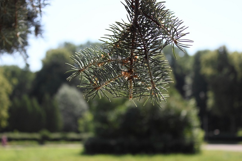 Сергей Рыбин фотография #20