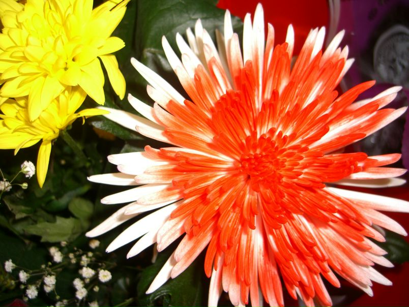 №3, Мария Макар, Москва, Россия №3, Мария Макар, Москва, Россия