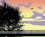 Daria Bashkatova фотография #8 (источник - https://vk.com/id16921531)