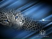 Фотография Дементьевой-Кулешовой Светланы