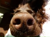 Фотография Янцен Евгении