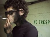 Фотография Vard Viktor