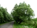 Марічка Синичич фотография #8 (источник - https://vk.com/id131646057)