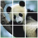 Crazy Tomat фотография #39 (источник - https://vk.com/id6413049)