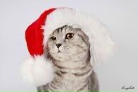 Фотография Болдиновой Тани