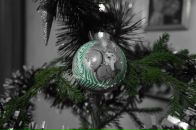 Фотография Масюкевич Ольги