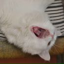 Фотография Садовой Ирины