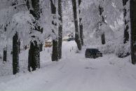 Володя Піпаш фотография #36 (источник - https://vk.com/id64047541)